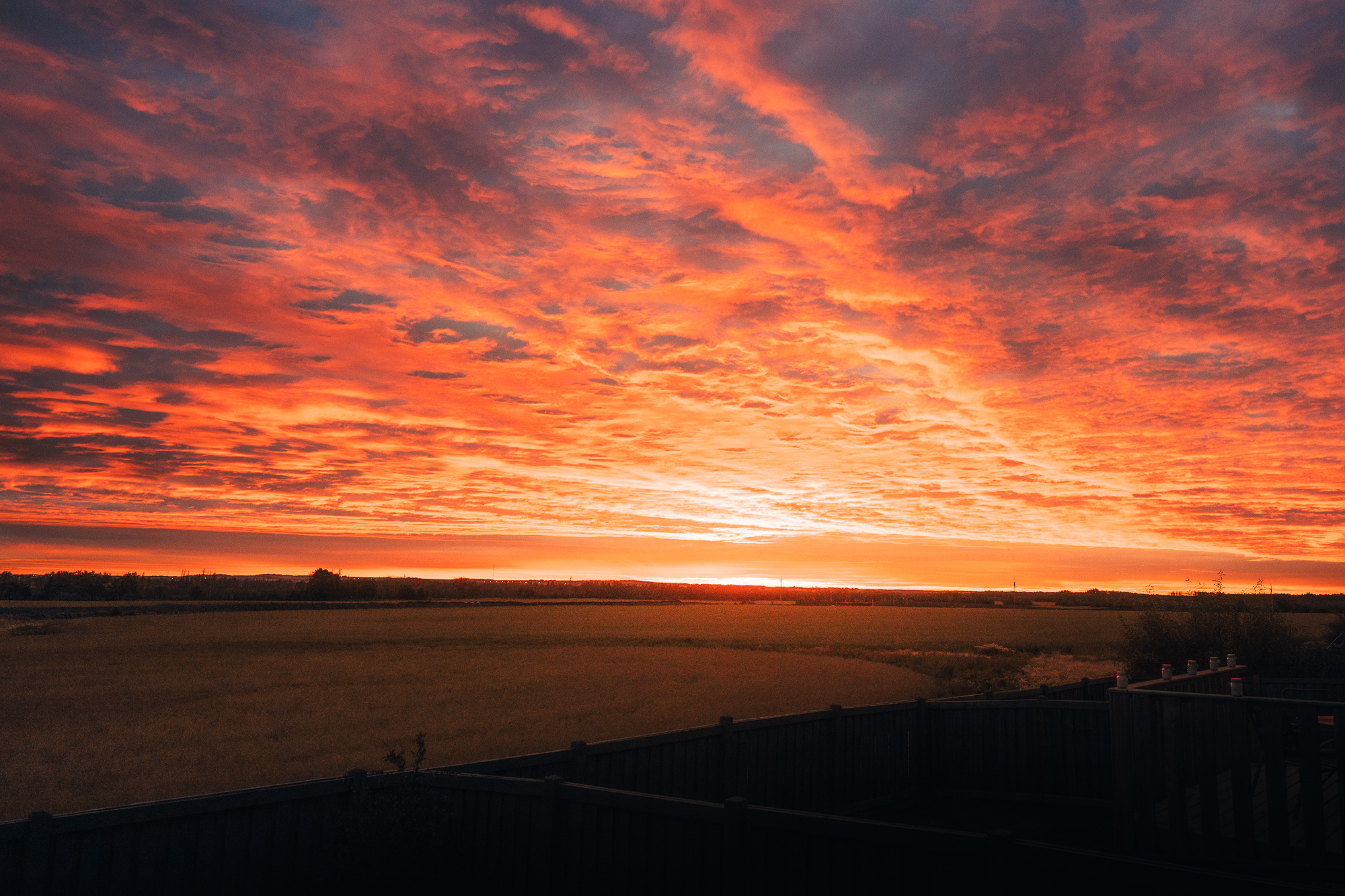 Backyard Sunset